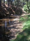 ~15 metres upstream from testing site.  New since last test.