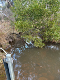 close up of site from concrete crossing