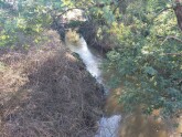 View upstream from bridge