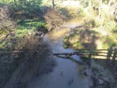 View downstream from bridge