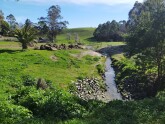 View downstream