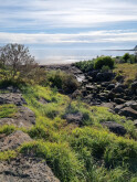 Downstream into the bay