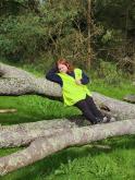 Tilly posing on fallen tree