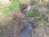 View downstream from bridge