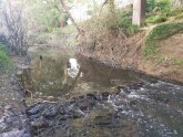 View upstream under bridge