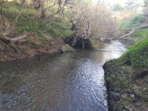 View downstream under bridge