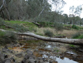 taken on 6/09/202 looking downstream