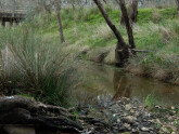 taken on 6/09/2024 looking downstream