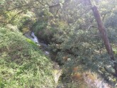 View upstream from bridge