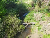 View downstream from bridge