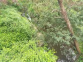 View upstream from bridge