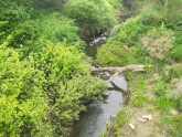 View downstream from bridge