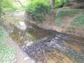 View upstream under bridge