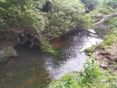 View downstream under bridge