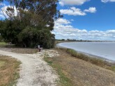 Lake very dry, 80% empty; a little water visible in the distance; lake surface grey silt with salt frust; appearacne grey under shadow and white in sunlight