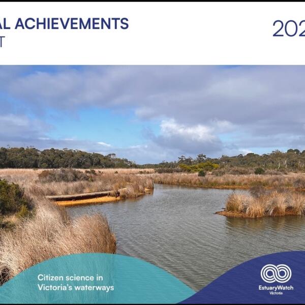 Annual Achievements Report